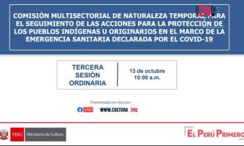 Comisión multisectorial de naturaleza temporal para el seguimiento de las acciones para la protección de los pueblos indígenas u originarios en el marco de la emergencia sanitaria declarada por el COVID-19 - segunda parte
