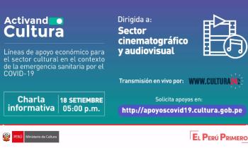 Líneas de apoyo económico para el sector cultural en el contexto de la emergencia sanitaria por el COVID-19 - sector cinematográfico y audiovisual