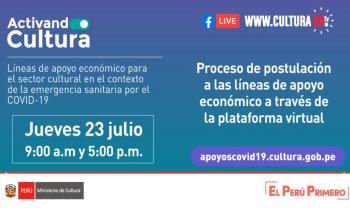 Líneas de apoyo económico para el sector cultural en el contexto de la emergencia sanitaria por el covid-19, procesos de postulación a las líneas de apoyo económico a través de la plataforma virtual