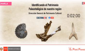 Dirección General de Patrimonio Cultural - Identificando el patrimonio paleontplógico de nuestra región 