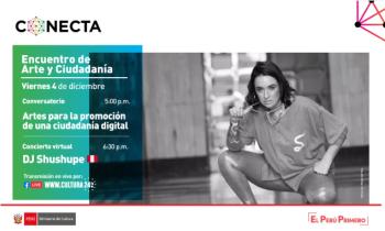 Encuentro de arte y Ciudadanía - artes para la promoción de una ciudadanía digital, concierto DJ Shushupe