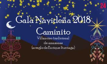 Gala de Navidad 2018 - Caminito villancico tradicional de amazonas