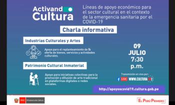 líneas de apoyo económico para el sector cultural en el contexto de la emergencia sanitaria por el covid-19