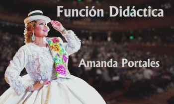 Función Didáctica - Amanda Portales