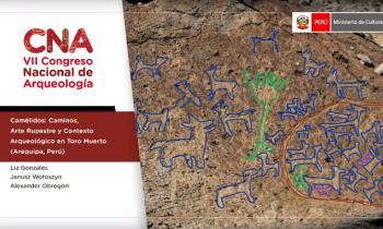 CONGRESO NACIONAL DE ARQUEOLOGÍA - EXCAVACIONES ARQUEOLÓGICAS EN TORO MUERTO (AREQUIPA, PERÚ): 2018-2019