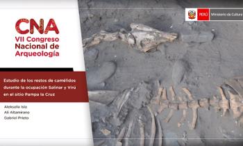 CONGRESO NACIONAL DE ARQUEOLOGÍA - ESTUDIO DE LOS RESTOS DE CAMÉLIDOS DURANTE LA OCUPACIÓN SALINAR Y VIRÚ EN EL SITIO PAMPA LA CRUZ