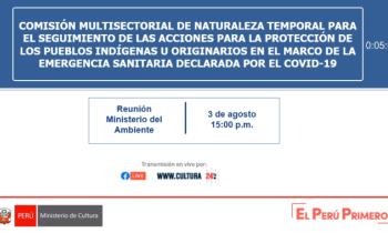 Comisión multisectorial de naturaleza temporal para el seguimiento de las acciones para la protección de los pueblos indígenas u originarión en el marco de la emergencia sanitaria declarada por el COVID-19