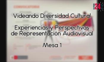 Videando Diversidad Cultural "Experiencias y Perspectivas de Representación Audiovisual" mesa 1