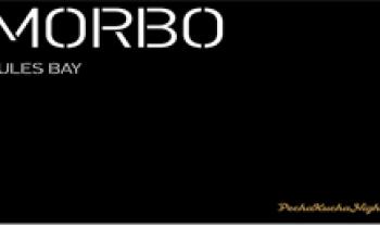 Pecha Kucha Night Diseño. Morbo