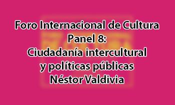 Foro Internacional de Cultura 2017 - Panel 8: Ciudadanía intercultural y políticas públicas. Néstor Valdivia