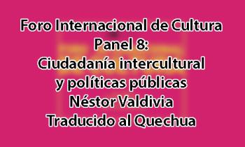 Foro Internacional de Cultura 2017 - Panel 1: Políticas culturales latinoamericanas. Procesos, expericiencias y retos. Néstor Valdivia - Quechua
