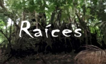 Festival "Estamos en la Calle" - Raíces