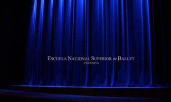 X Festival Internacional de Bailarines Jóvenes 2013